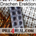 Dragon Erection 30